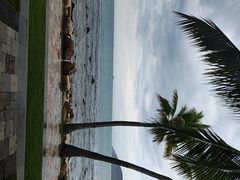 -日落吧·海景咖啡厅·餐酒吧·鸡尾酒·下午茶·乐队表演·浪漫夕阳·三亚文华东方酒店