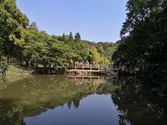 -云溪植物园