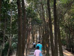 -火炉山森林公园