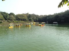 -紫马岭公园