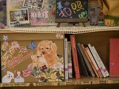 -猫的天空之城概念书店(杭州南宋御街店)