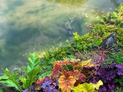 -罗红摄影艺术馆