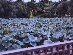 -厦门悦华酒店