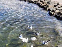 -青海湖二郎剑景区