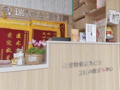 -瑞派宠物医院·CT影像中心·猫友好医院(奥城店)