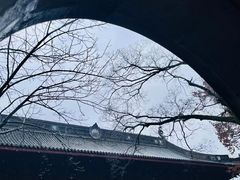 -杭州萧山国际机场
