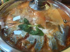 -弘烨 贵州酸汤 鱼火锅(东财店)