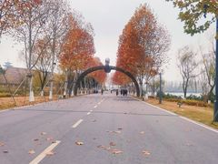 -洋湖国家湿地公园