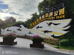 -西双版纳原始森林公园