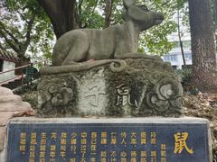 -房湖公园
