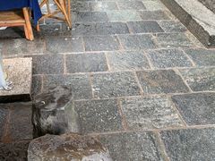 -四方小吃·白族庭院餐厅