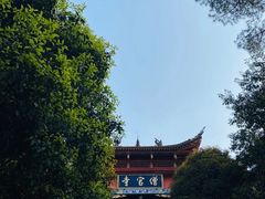 -铁山坪森林公园