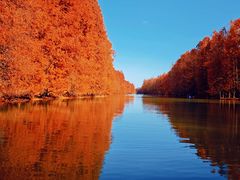 -上海海湾国家森林公园