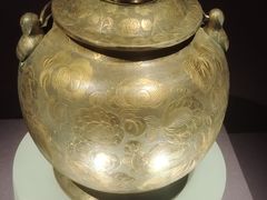 -陕西自然博物馆