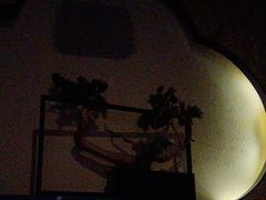 -大桶大足浴(宝山店)