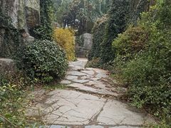 -武汉园博园(武汉自然博物馆)