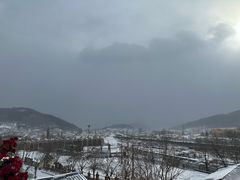 -横道河子东北虎林园