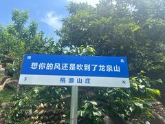 -桃源山庄·烤全羊·柴火鸡·烧烤团建(龙泉山店)