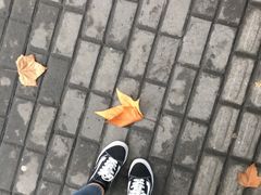 -小本家韩式烤肉(紫藤路店)