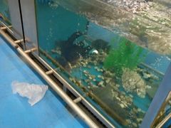 -麦德龙(郑东店)