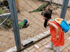 -长白岛森林公园