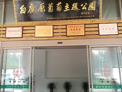 -白鹿原葡萄主题公园