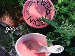 -gaga(深圳福田星河COCO Park店)