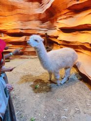 -酷嗒动物文化乐园(cutezoo西溪乐天城店)