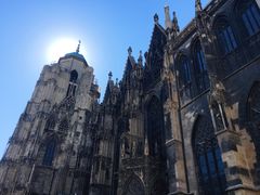 -斯蒂芬主教座堂(Stephansdom)