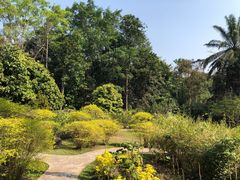 -中国科学院西双版纳热带植物园
