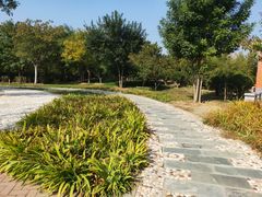 -燕郊植物园