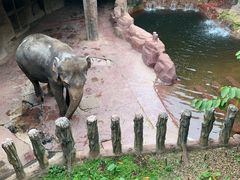 -长鹿旅游休博园