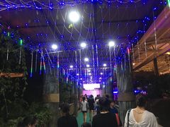 -杭州浪浪浪水公园