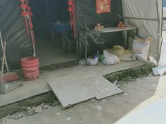 -喜杨洋草莓采摘园