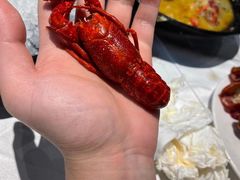 -洪福龙虾