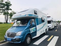 -春花秋色城市公园