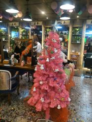 -上禾 HAIR SALON