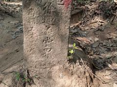 -火炉山森林公园