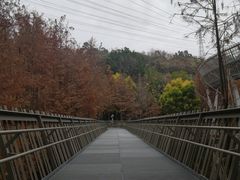 -福道