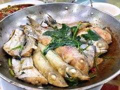 杂鱼煲-长平肥姐白粥·海鲜打冷