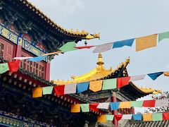-西安市广仁寺