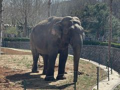 -石家庄市动物园