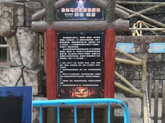 -杭州乐园