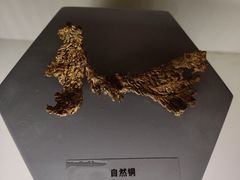 -正佳自然科学博物馆