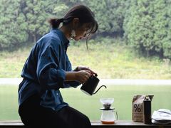 -武陵山森林公园