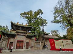 -迎泽公园