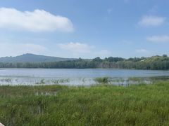 -御道口草原森林风景区