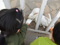 -北京鹿世界主题园