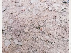-大自然农场蔬菜草莓采摘园