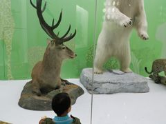 -国家自然博物馆